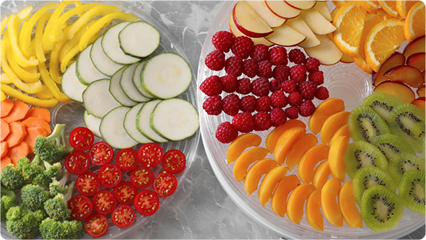 Yongkang Ruilong Electric Appliance Co., Ltd.