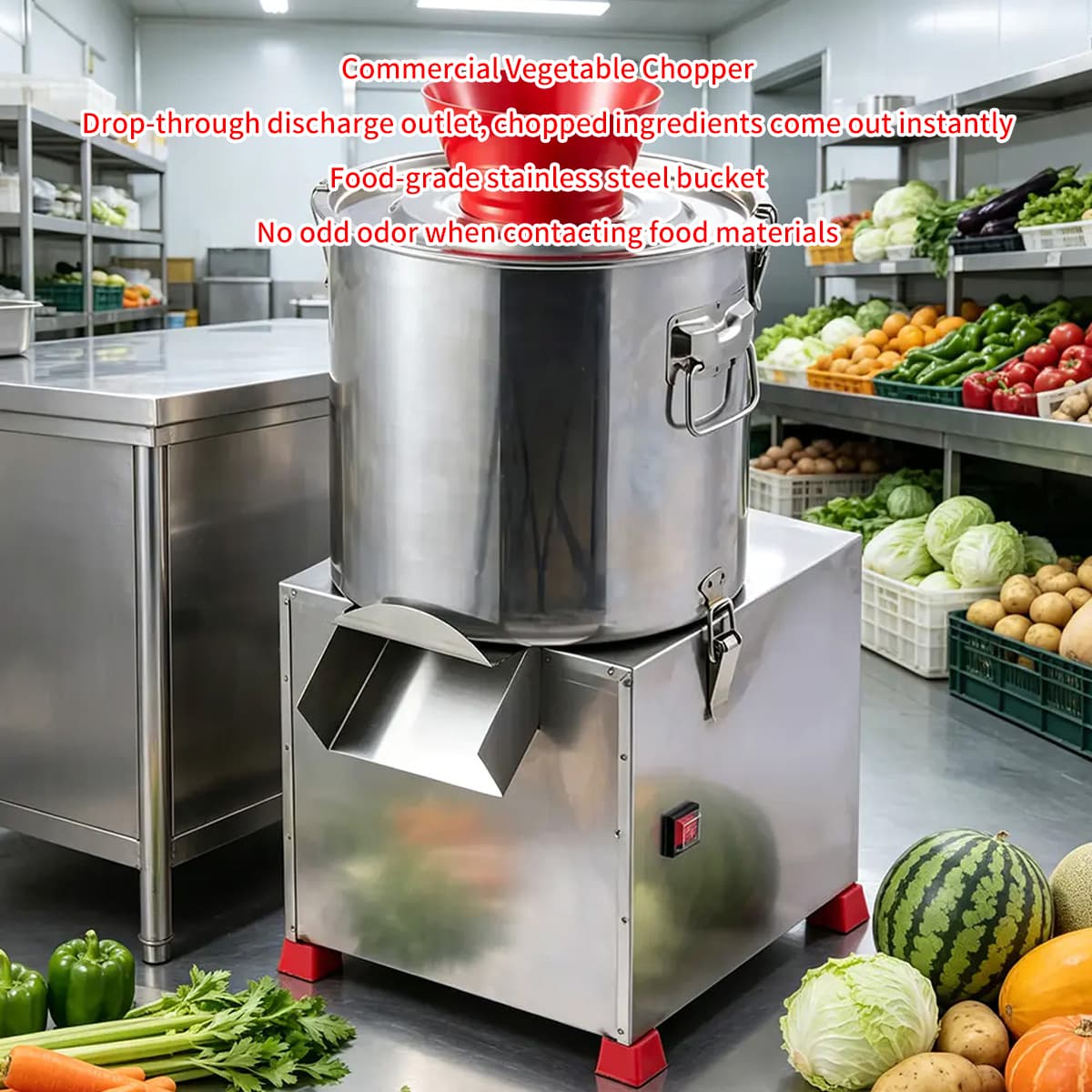 Yongkang Ruilong Electric Appliance Co., Ltd.