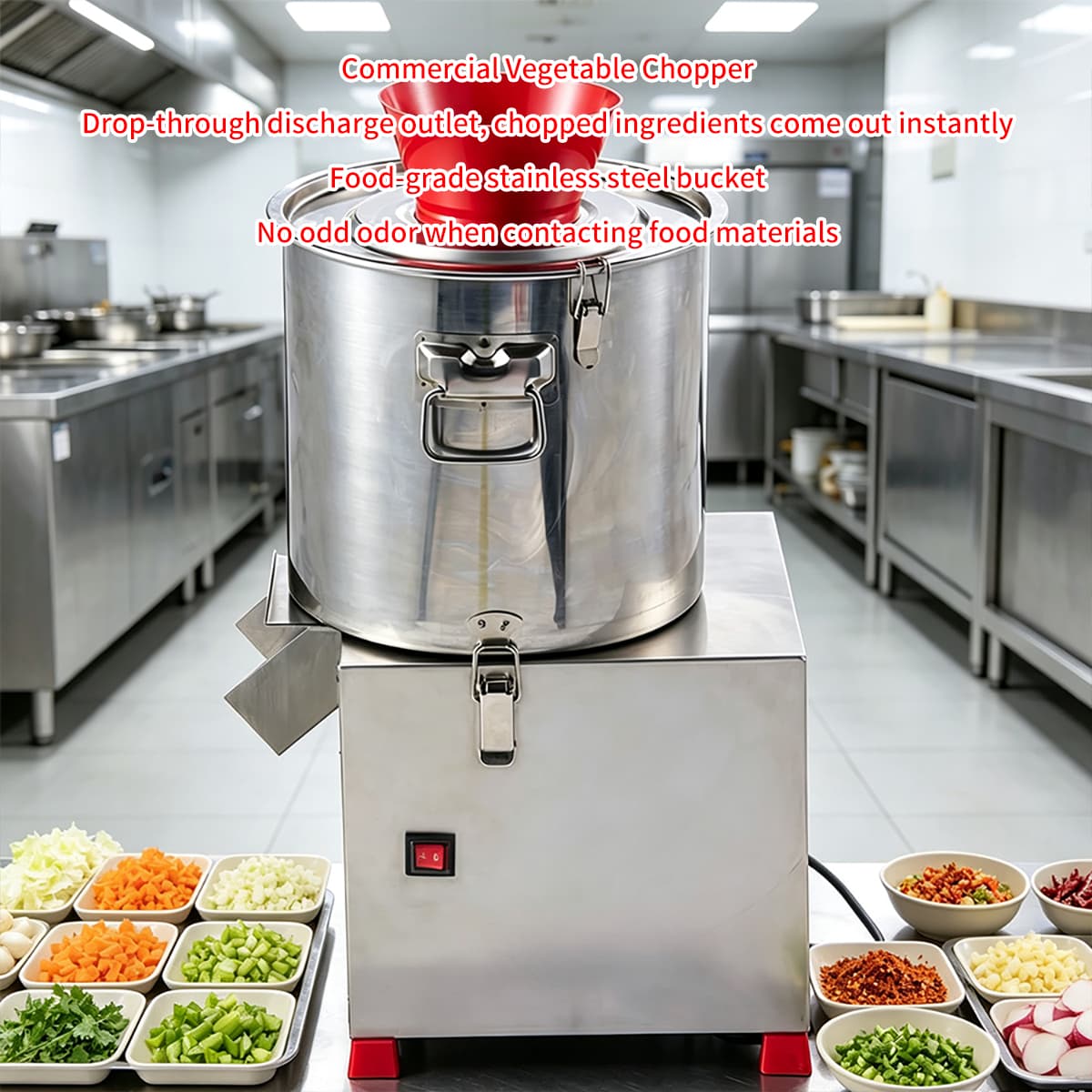 Yongkang Ruilong Electric Appliance Co., Ltd.